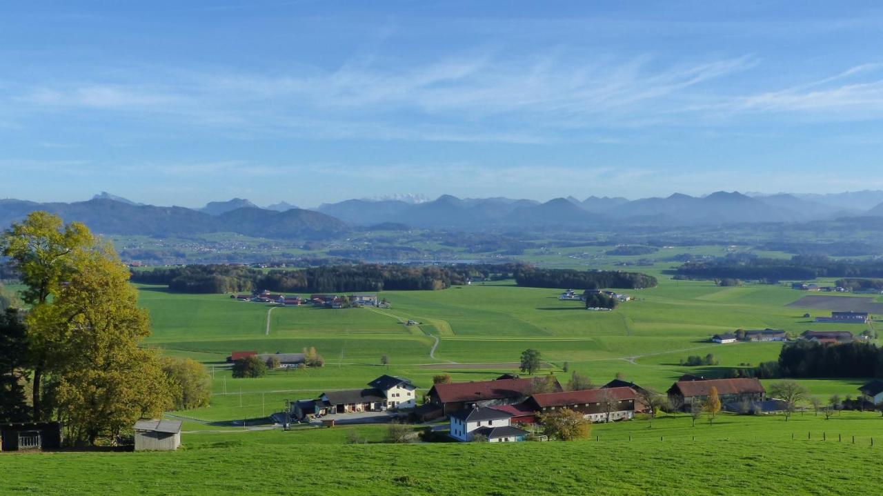 Ferienwohnung Steger Mattsee Exterior foto