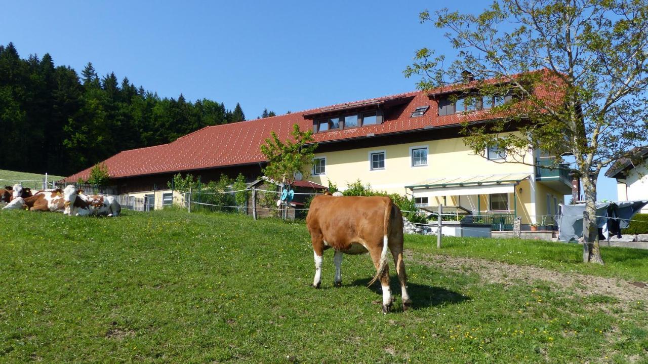 Ferienwohnung Steger Mattsee Exterior foto